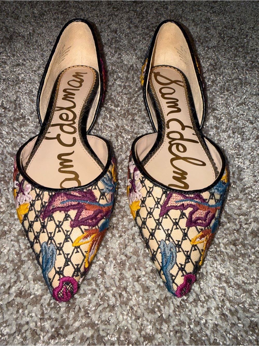 Sam Edelman Multicolor Embroidered Pointed Flats 7M